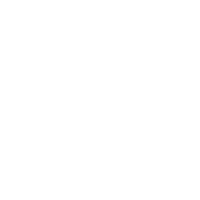 DNM Logo