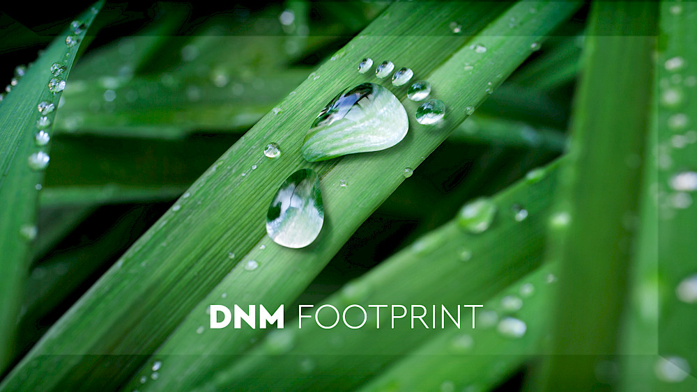 DNM Footprint